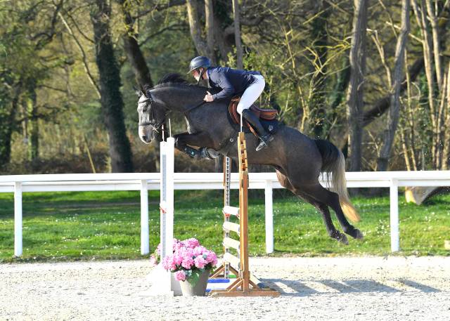 5 ans par armitage boy