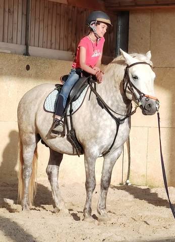 Camargue onc du 21/04/2020