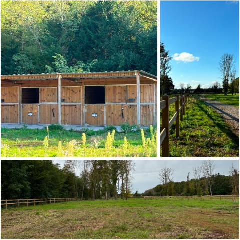 Pension cheval à vimory (45700)