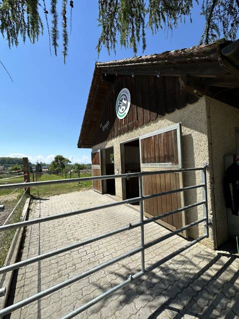 Pension chevaux à 1303 penthaz