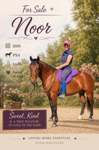 Belle jument pp 2019 adorable et volontaire 