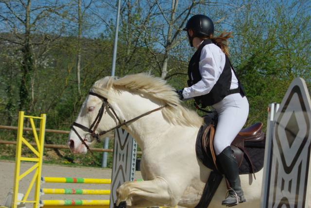 Cavalière, groom, assistance administrative