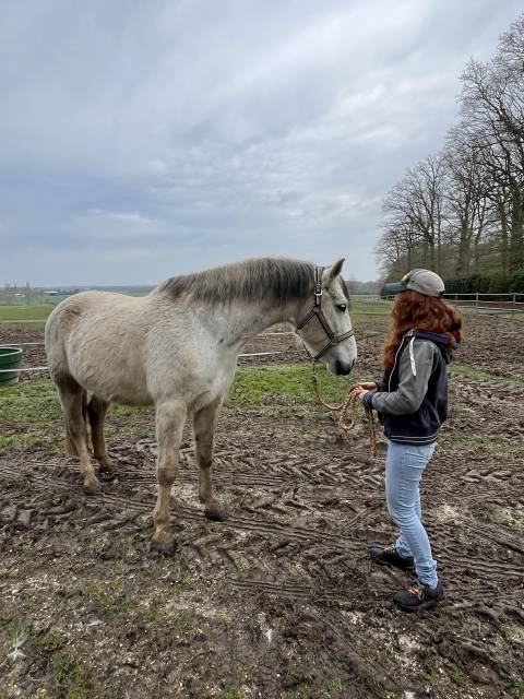 Bandi - confiage (demi-pension possible)