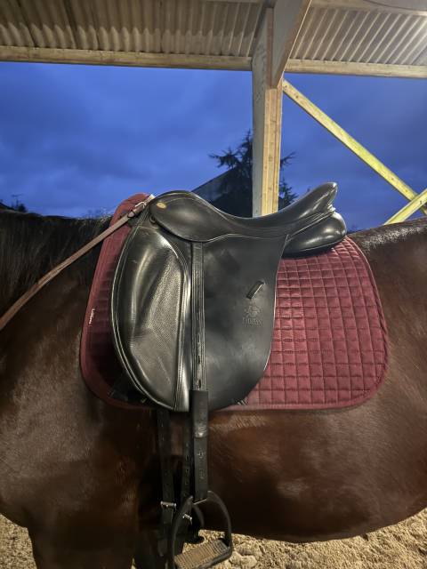 Selle dressage fairfax arcade interchangeable 17,5’