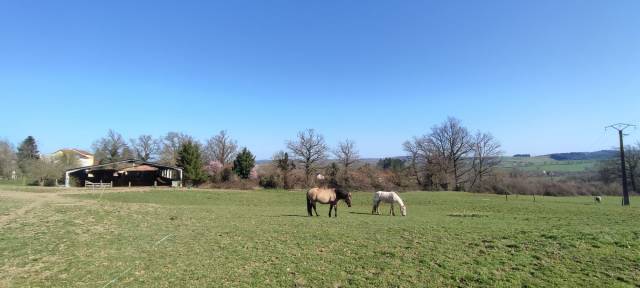 Maison à vendre le breuil