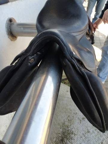 Vente selle forestier