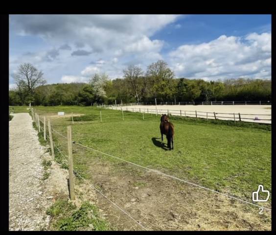 Pension chevaux 