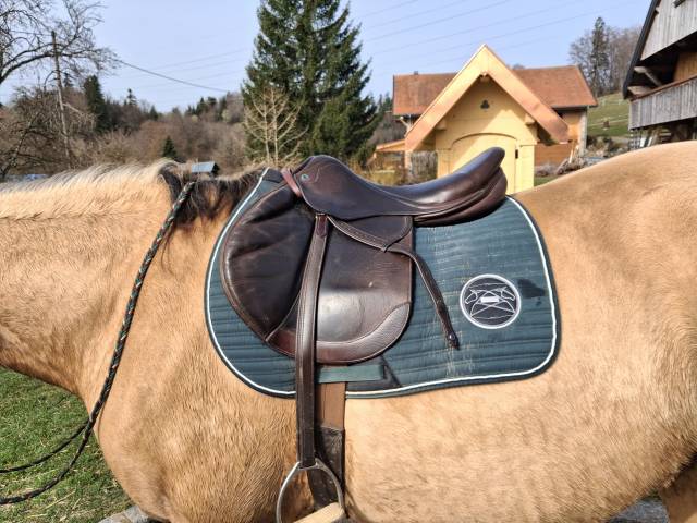 Selle obstacle stubben zaria 17,5