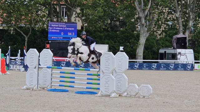 Fier l’evidence z : étalon sport homozygote champion de france hunter 