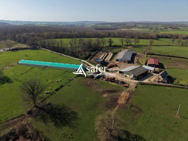 Exploitation avicole / bovin - secteurs moulin montluçon