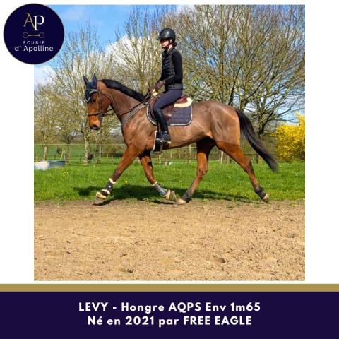 Aqps 5 ans env 1m65