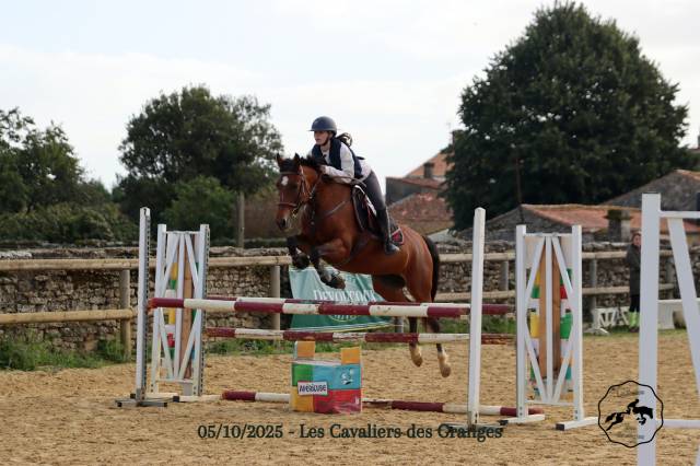Poney de sport 