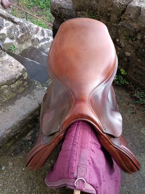 Selle mixte forestier