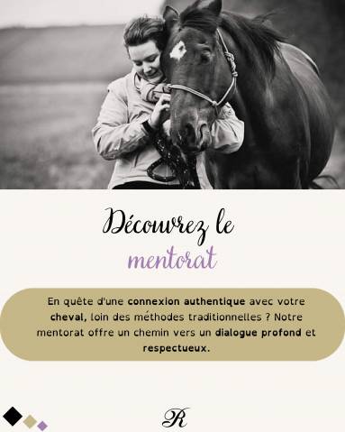Service de mentorat relationnel humain-cheval