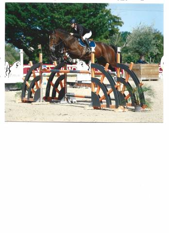 Hongre 10 ans prêt sur 120/125