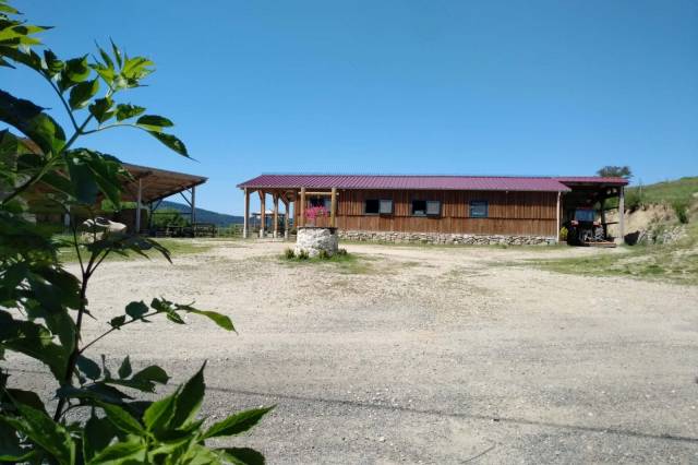 Propriété équestre d'environ 45 hectares à arconsat 63