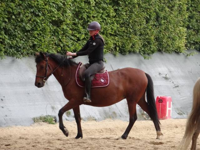 Jument de 8 ans club