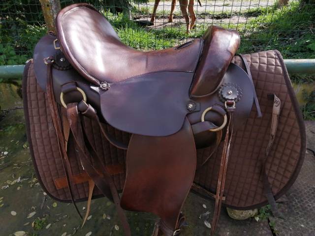 Selle cathare marron arcon open