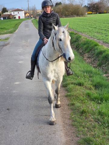 Tornado - cruzado - 8ans