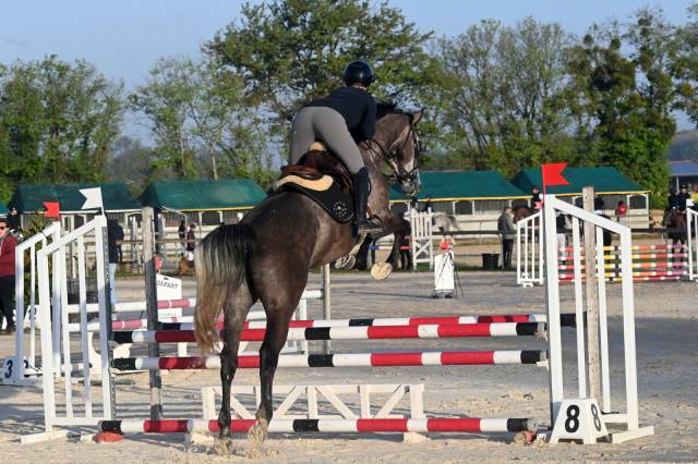 Jument sf top lignée 