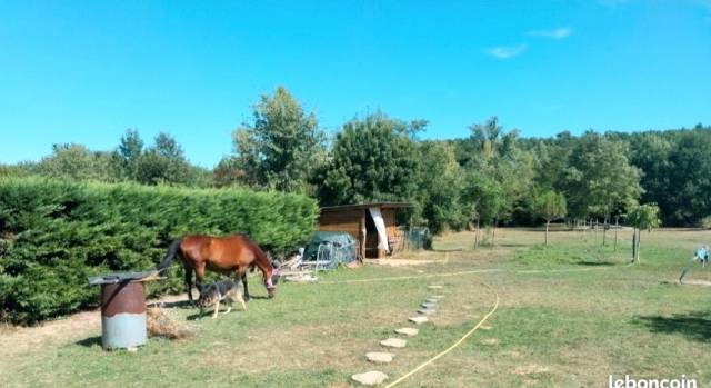 Pension retraite pour petit cheval ane ou poney chez p