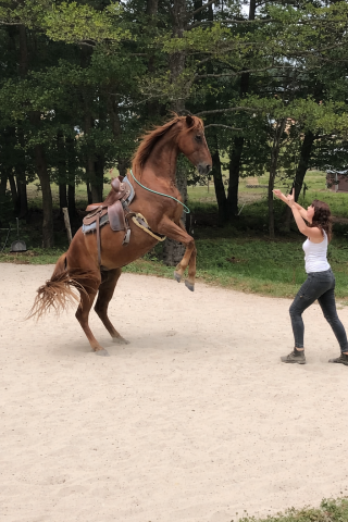 Monitrice et ate independante