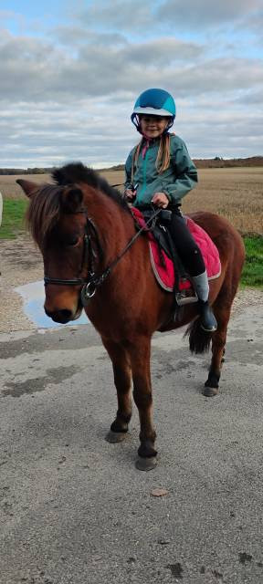 Ponette de loisir, 8ans, onc, 1.16m, très bien montée.