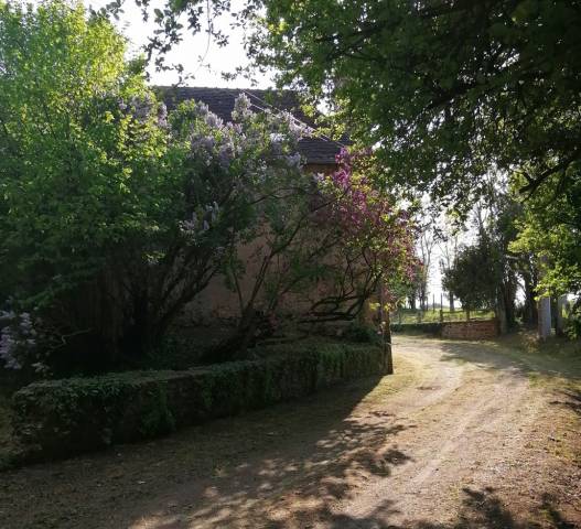 Fermette terrain 1 ha  à sainte-sabine-sur-longève 72380