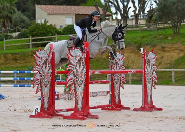 Cheval de sport cso amateur élite pro 3 10ans