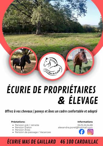  pension pour cheval, poney et âne 