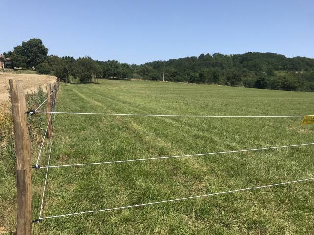 Pension chevaux loisir/retraite