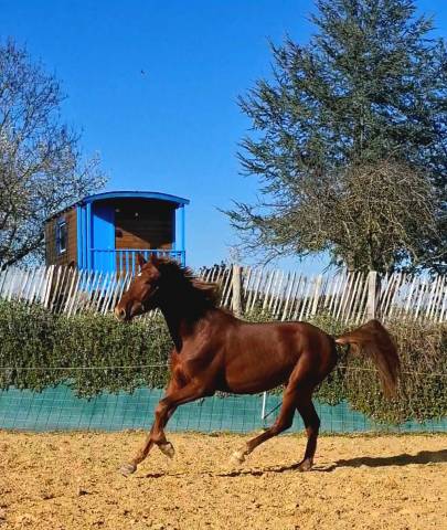 Magnifique pp pre de 2024