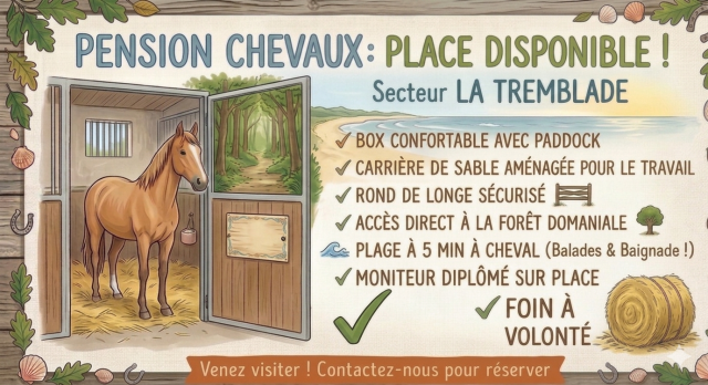 Pension chevaux 