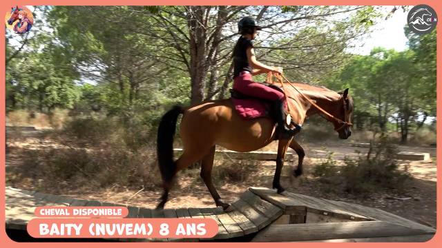 **à vendre – nuvem jument 9 ans** 