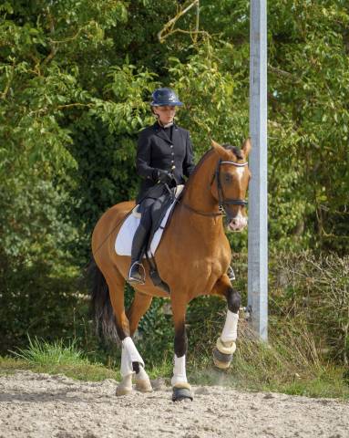 Botero lh : pre apto bai pearl