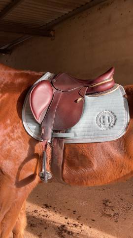 Selle cwd première main 17.5 pouces