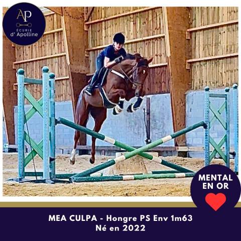 4 ans top mental et locoomotion plaisante