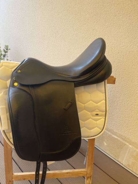 Prestige dressage modena 