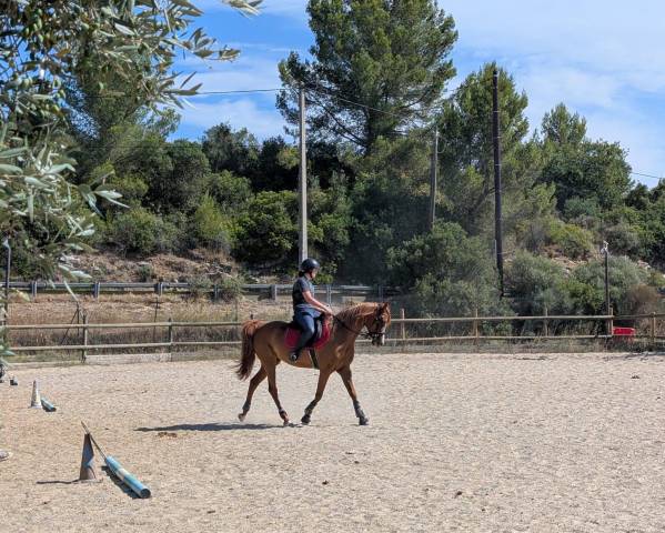 à vendre : d.m. magellan 