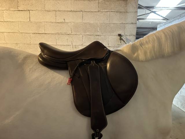 Selle forestier séoul 