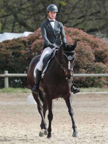 Jument idéal pour amateur