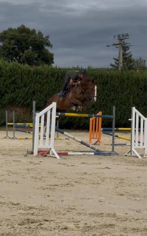 Kannan à vendre ou location 