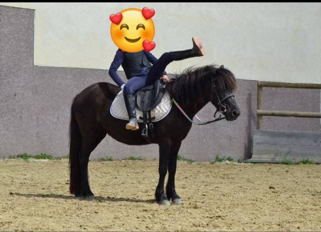 Poney loisirs 