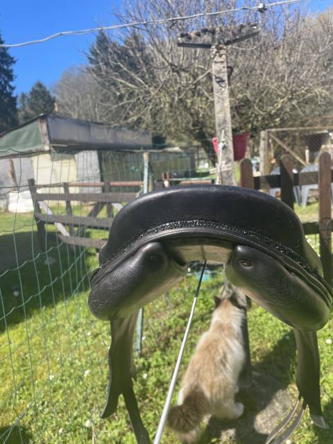 Selle monoquartier forestier boeckelo 17