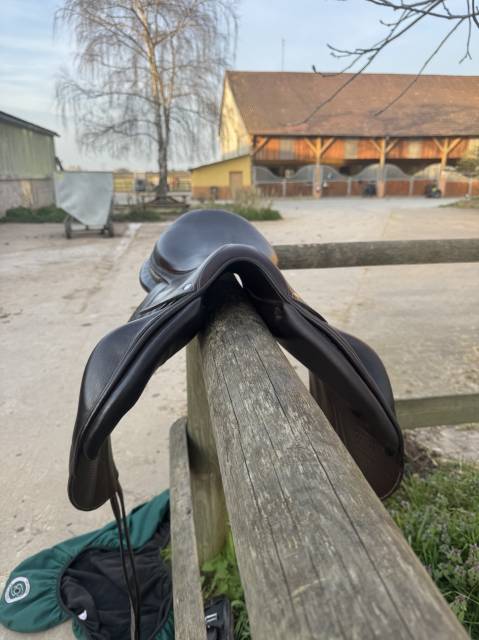 Selle forestier boekelo