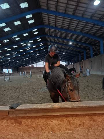 Recherche d'un patron en maréchalerie.