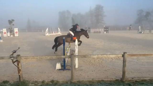 Top 4 ans vagabond sur une ligné sf originel