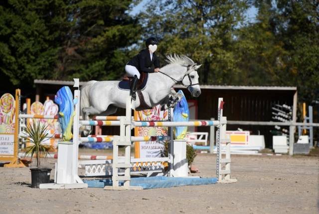 Demi-pension – poney connemara