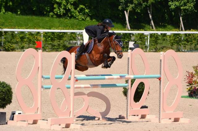 Poney de grand prix/ grand prix excellence 