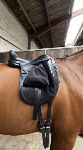Selle de dressage équipe modèle olympia (2019) – 17